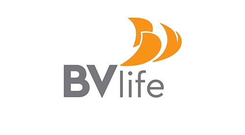 Công ty Cổ phần BV Life