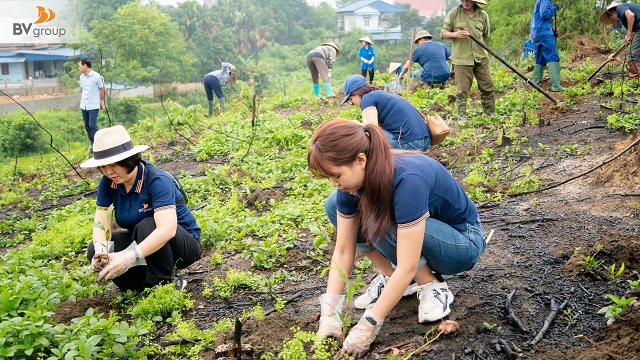 BV RUN 2025: HÀNH TRÌNH XANH CỦA BV GROUP