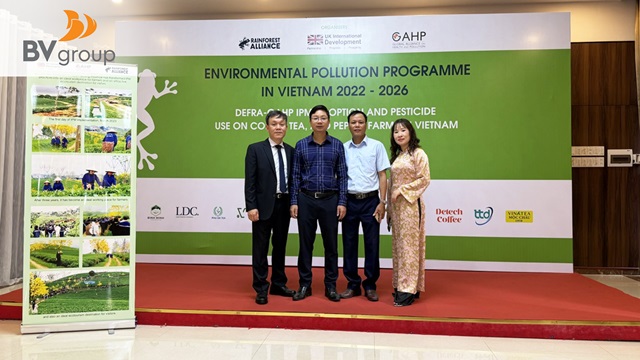 KHI NÔNG NGHIỆP VÀ THƯƠNG MẠI CÙNG TẠO GIÁ TRỊ: MÔ HÌNH CHUỖI TRÀ BỀN VỮNG CỦA BÁCH VIỆT GROUP