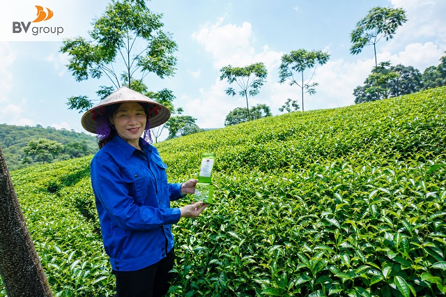 TRÀ MỸ LÂM CHINH PHỤC THỊ TRƯỜNG NỘI ĐỊA